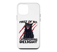 Custodia per iPhone 12 mini Gatto goblin gatto nero sarcasmo zoomies gatto caos
