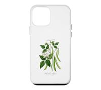 Custodia per iPhone 12 mini Illustrazione della pianta del fagiolo francese Phaseolus vulgaris