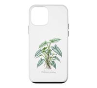Custodia per iPhone 12 mini Illustrazione della pianta della spada d'argento del filodendro