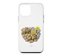 Custodia per iPhone 12 mini Illustrazione di piante di pietre viventi Lithops