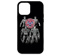 Custodia per iPhone 12 mini Justice League Shades of Gray