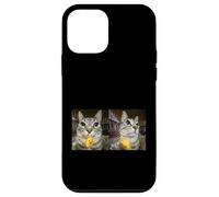Custodia per iPhone 12 mini Meme di Silly Staring Cat, divertente disegno felino