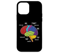 Custodia per iPhone 12 mini Neuroscienze di anatomia del cervello umano Labeled Lobi Corteccia