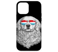 Custodia per iPhone 12 mini Occhiali da sole con bandiera del Lussemburgo Regali Love Luxembourg