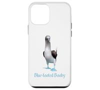 Custodia per iPhone 12 mini Ornitologia della razza di uccelli Booby dai piedi blu