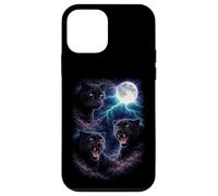 Custodia per iPhone 12 mini Pantere scure sotto la luna piena Vintage Fantasy Lightning
