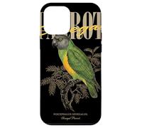 Custodia per iPhone 12 mini Pappagallo vintage del Senegal, osservazione degli uccelli, arte, natura, uccelli