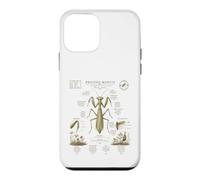 Custodia per iPhone 12 mini Pregare Mantide Anatomia Vintage Field Guide Art