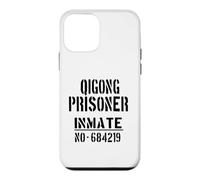 Custodia per iPhone 12 mini Qigong Students/Qi Gong Easy Halloween Costume