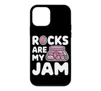 Custodia per iPhone 12 mini Roccia Tumbling Hobbyist pietre lucidate e arte lapidaria