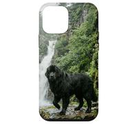 Custodia per iPhone 12 mini Scena della foresta della scogliera della cascata del cane di Terranova