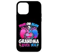 Custodia per iPhone 12 mini Sesso Rivela Nonna Team Rosa O Blu Cosa ne Pensi