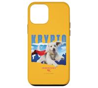 Custodia per iPhone 12 mini Superman (2025) Krypto in the Sky Y