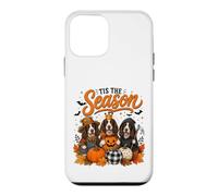 Custodia per iPhone 12 mini Tis The Season Halloween Border Collie Pumpkin Costume