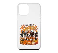Custodia per iPhone 12 mini Tis The Season Thanksgiving Border Collie Pumpkin Costume