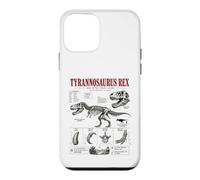 Custodia per iPhone 12 mini Tyrannosaurus Rex Fossil Guide Museo Anatomia Arte