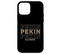 Custodia per iPhone 12 mini Vintage Pechino Illinois