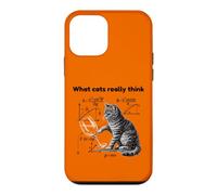 Custodia per iPhone 12 mini What Cats Really Think Funny Cat Physics Humor Men Women