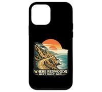 Custodia per iPhone 12 mini Where Redwoods Meet Salt Air California retrò