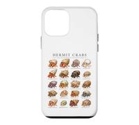 Custodia per iPhone 12 mini World of Hermit Crabs Crostacei Biologia Marina Ragazzi Ragazze