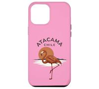 Custodia per iPhone 12 Pro Max Atacama Cile Flamingo Retro Tramonto