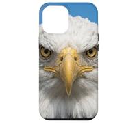 Custodia per iPhone 12 Pro Max Bald Eagle Close Up Ritratto Sharp Wildlife Face