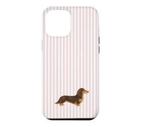 Custodia per iPhone 12 Pro Max Bassotto a pelo lungo marrone e crema a righe rosa
