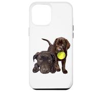 Custodia per iPhone 12 Pro Max Chocolate Lab Cane Il Cane Padre Il Laboratorio Padre Lab Mamma