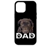 Custodia per iPhone 12 Pro Max Chocolate Lab Dad The Dog Father The Lab Padre Labrador Dad