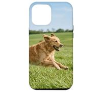 Custodia per iPhone 12 Pro Max Golden Retriever Cane In Esecuzione Campo Aperto Soleggiato All'aperto