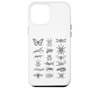 Custodia per iPhone 12 Pro Max Grafico scientifico della storia naturale delle specie di bug di entomologia
