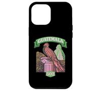 Custodia per iPhone 12 Pro Max Guatemala Quetzal Chapin 502 Tikal Antigua Guatemalteco Rosa