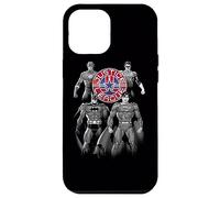 Custodia per iPhone 12 Pro Max Justice League Shades of Gray