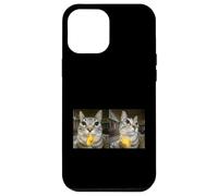 Custodia per iPhone 12 Pro Max Meme di Silly Staring Cat, divertente disegno felino