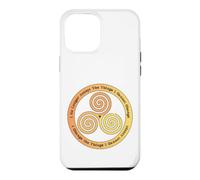 Custodia per iPhone 12 Pro Max Non accetto più le cose che non posso cambiare il triskelion