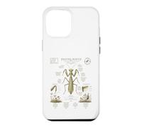 Custodia per iPhone 12 Pro Max Pregare Mantide Anatomia Vintage Field Guide Art