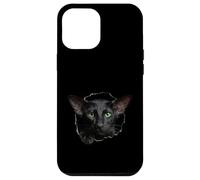 Custodia per iPhone 12 Pro Max Striking Black Oriental Shorthair Cat che sbircia attraverso