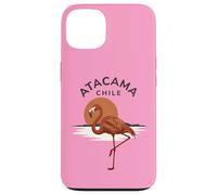 Custodia per iPhone 13 Atacama Cile Flamingo Retro Tramonto
