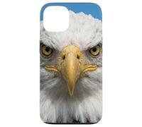 Custodia per iPhone 13 Bald Eagle Close Up Ritratto Sharp Wildlife Face