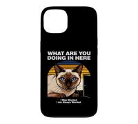 Custodia per iPhone 13 Cosa stai facendo qui Gatto Siamese Ansioso