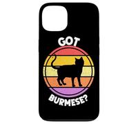 Custodia per iPhone 13 Gatto birmano retrò tramonto vintage anni '80 design estetico