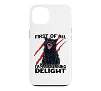 Custodia per iPhone 13 Gatto goblin gatto nero sarcasmo zoomies gatto caos