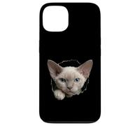 Custodia per iPhone 13 Occhi blu del gatto Devon Rex capriccioso che sbircia attraverso