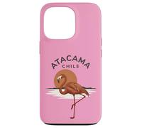 Custodia per iPhone 13 Pro Atacama Cile Flamingo Retro Tramonto