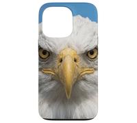 Custodia per iPhone 13 Pro Bald Eagle Close Up Ritratto Sharp Wildlife Face