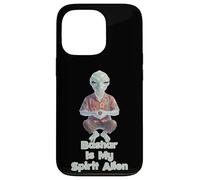 Custodia per iPhone 13 Pro Bashar Meditazione Spirituale Extraterrestre UFO Anka
