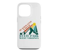 Custodia per iPhone 13 Pro Cascate Blackwater
