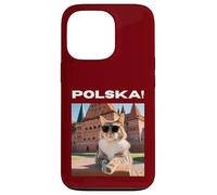 Custodia per iPhone 13 Pro Cat At The Malbork Castle, Polonia