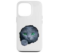 Custodia per iPhone 13 Pro Colpisce il gatto blu russo con gli occhi verdi che sbirciano attraverso