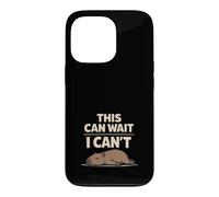 Custodia per iPhone 13 Pro Cute Capybara Stress Relief No Stress Chill Life Rilassante